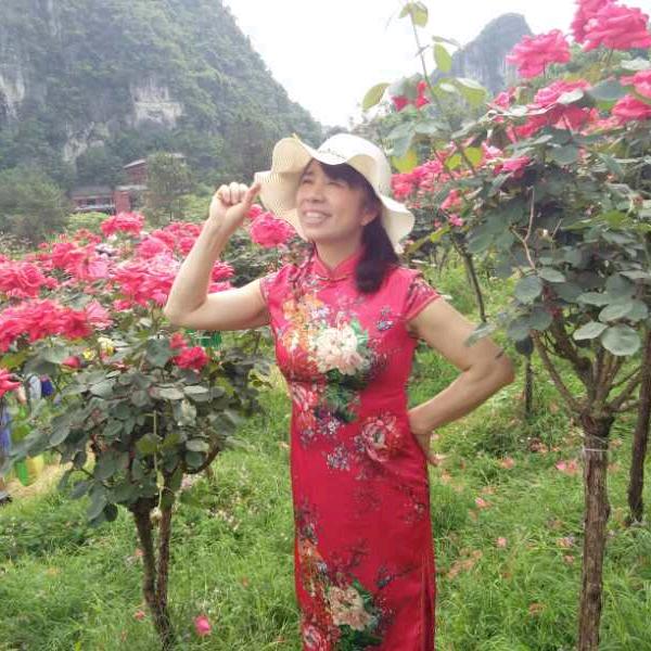 杰奶豆腐圆