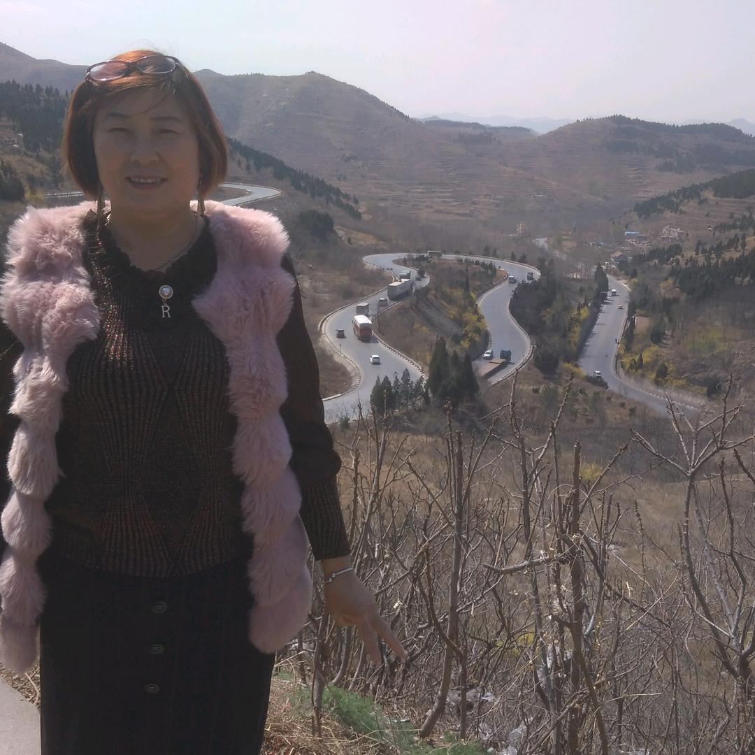 紫藤花