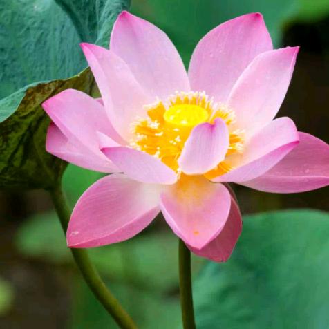 搂起袖子加油干