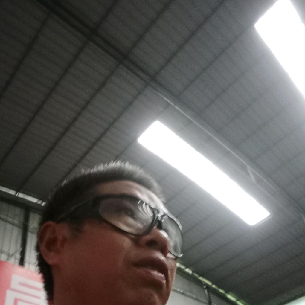 楊帆启航