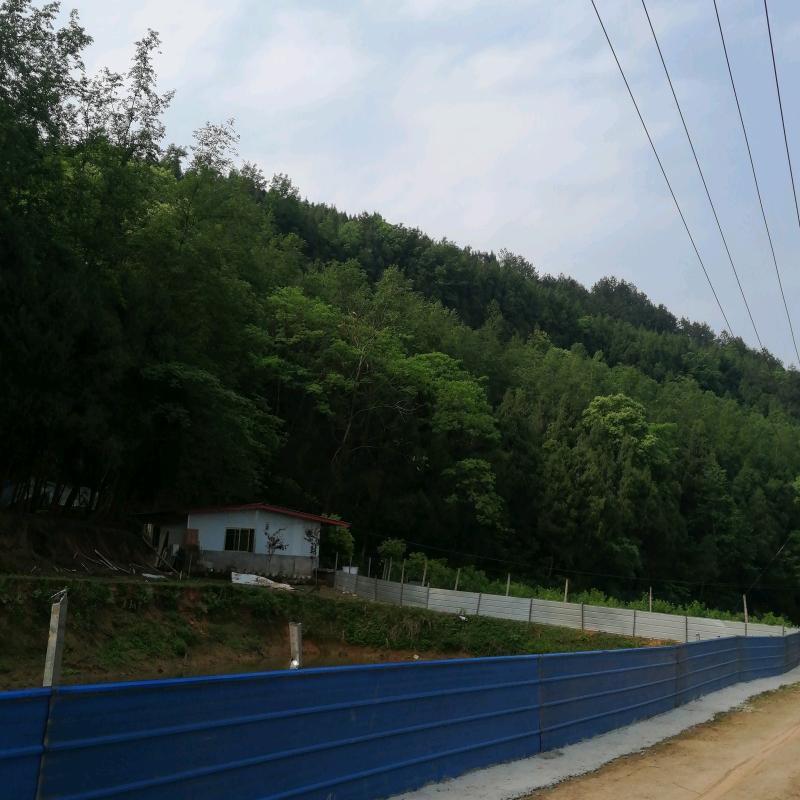 专业搭棚181 88343 0785
