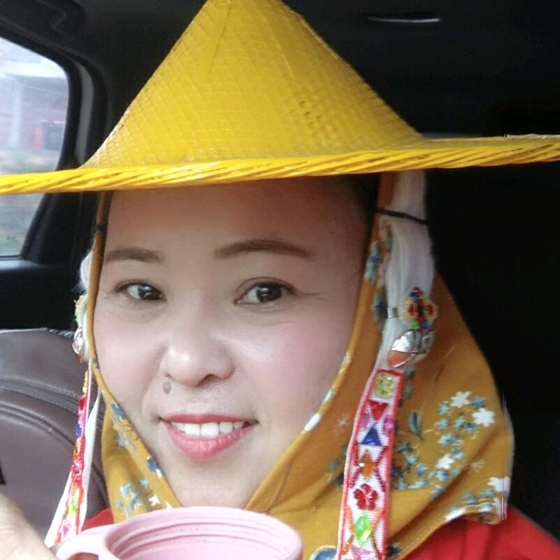 凤