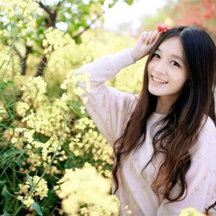 小凤