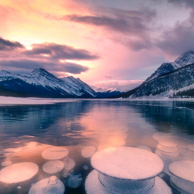 古戈尔精工科技