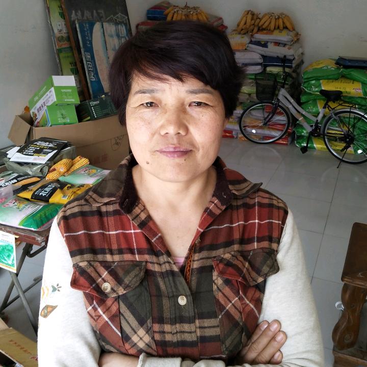 顺兰