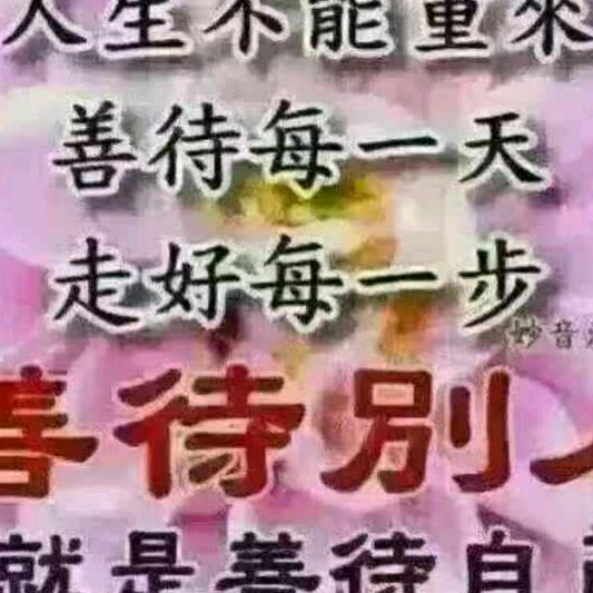 漂泊的狼