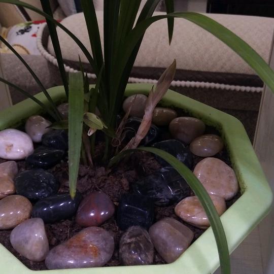 用户2790501662223平哥