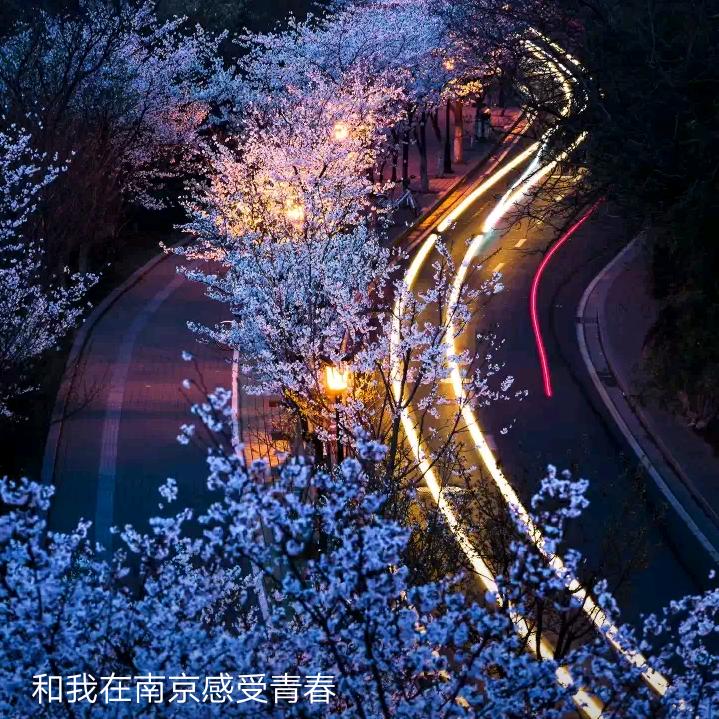 王后余生