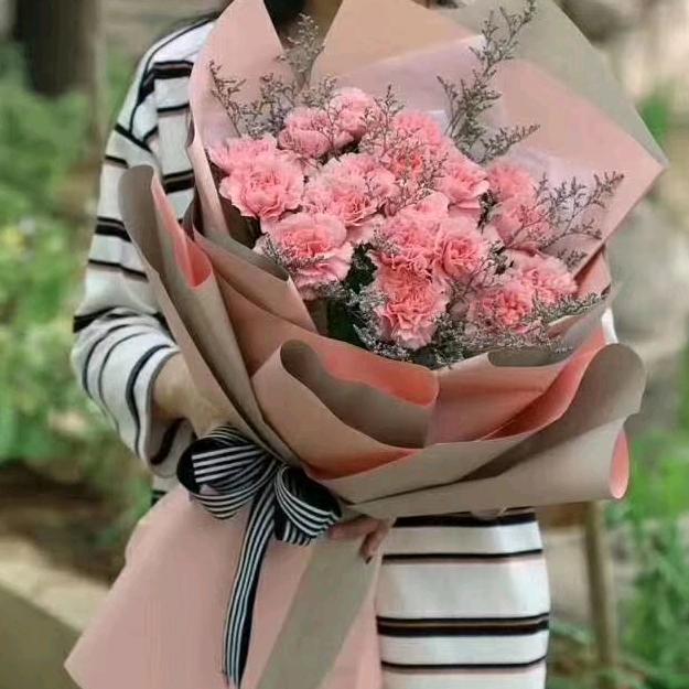 西安市长安区韦曲北街飞舞七彩七彩花卉官方