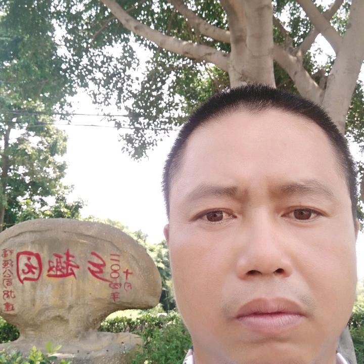 坦诚