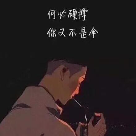 马不停蹄子