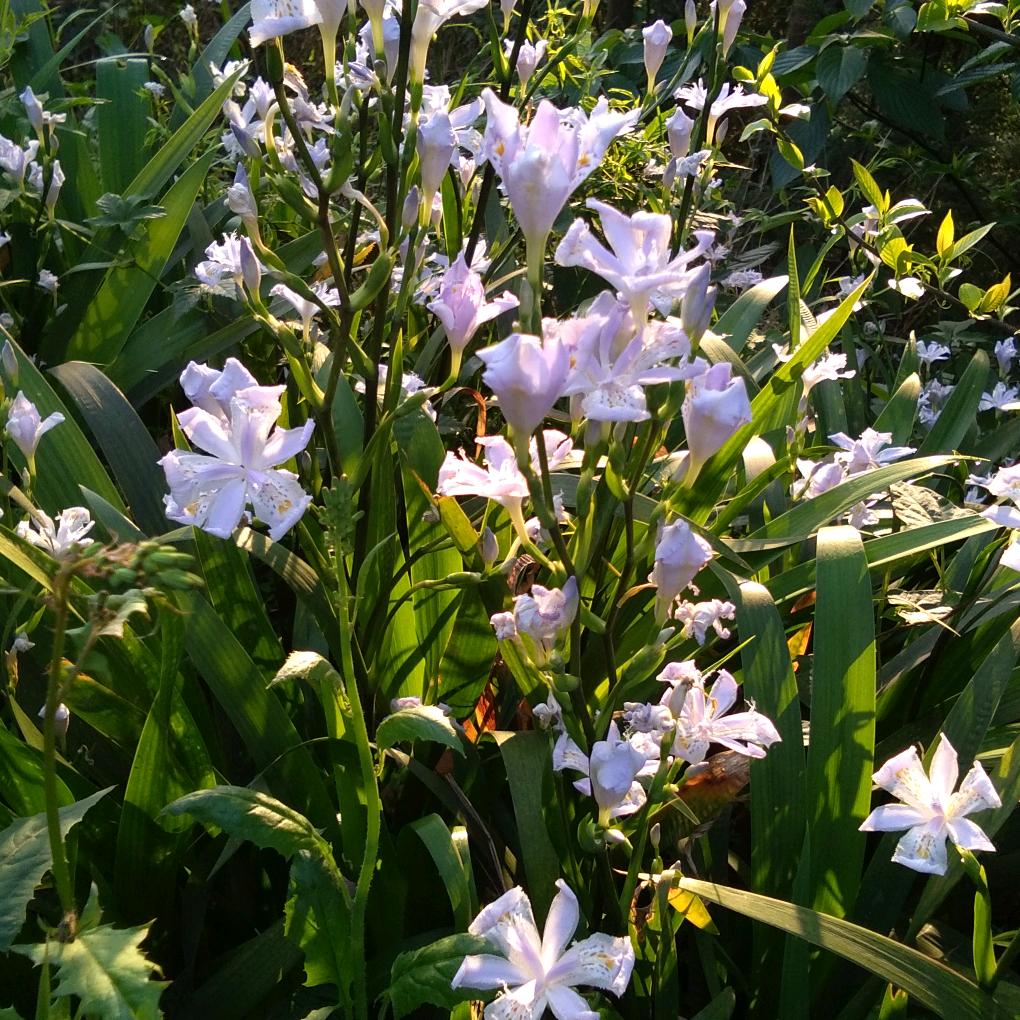 《开心每一天》