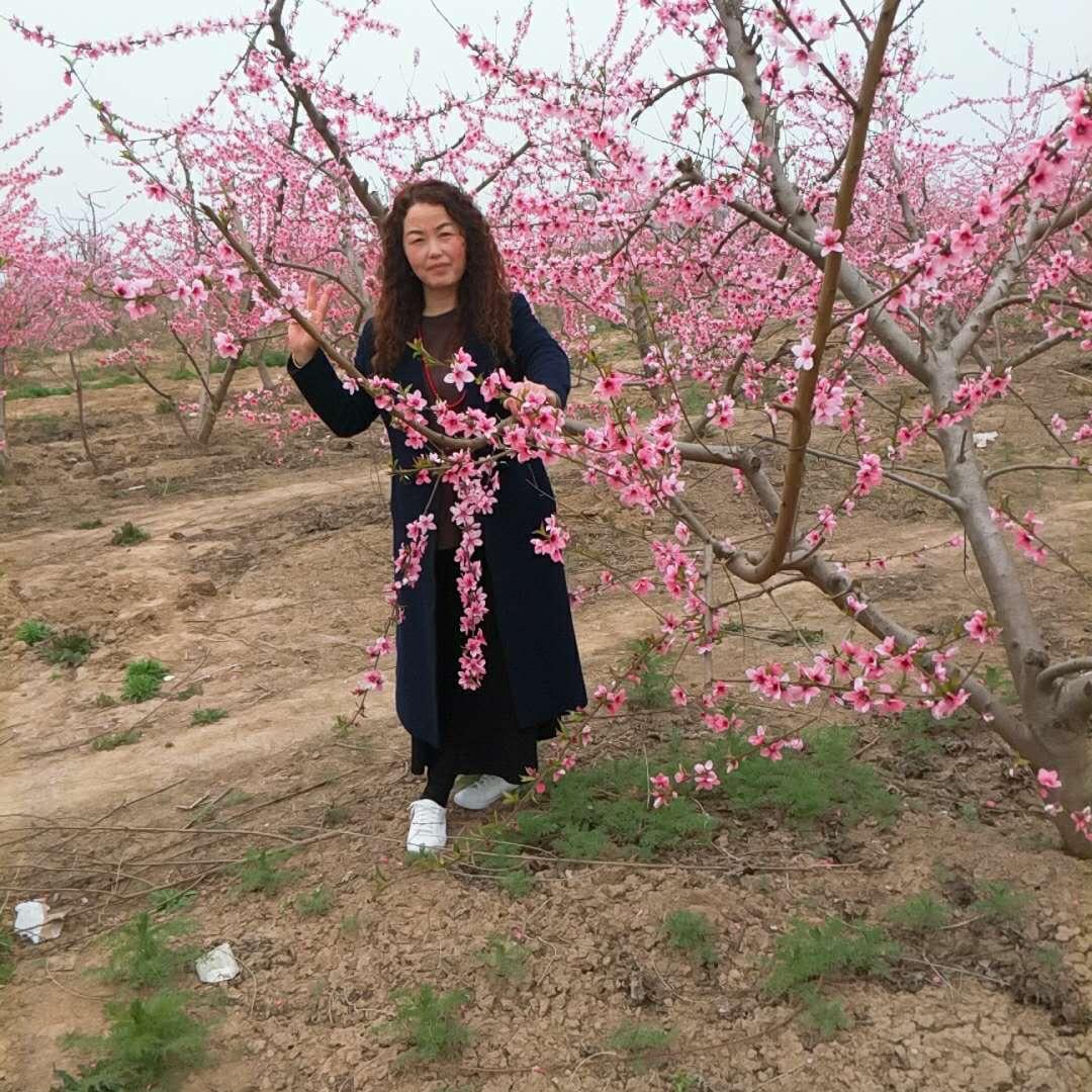 🌹开心就好优雅到老🌹