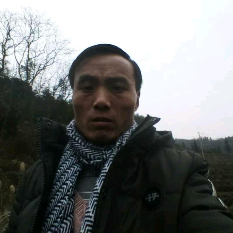 梦想成真