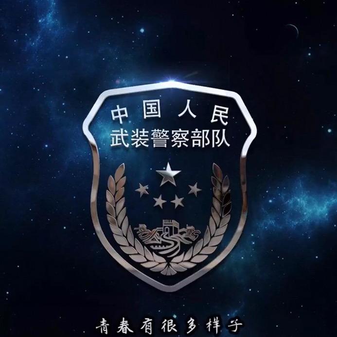 若有战，招必回