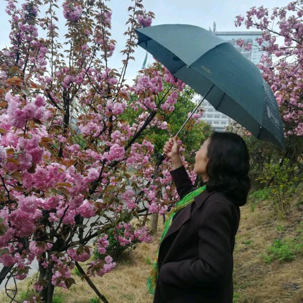 踏歌而行