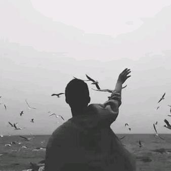 bgm666
