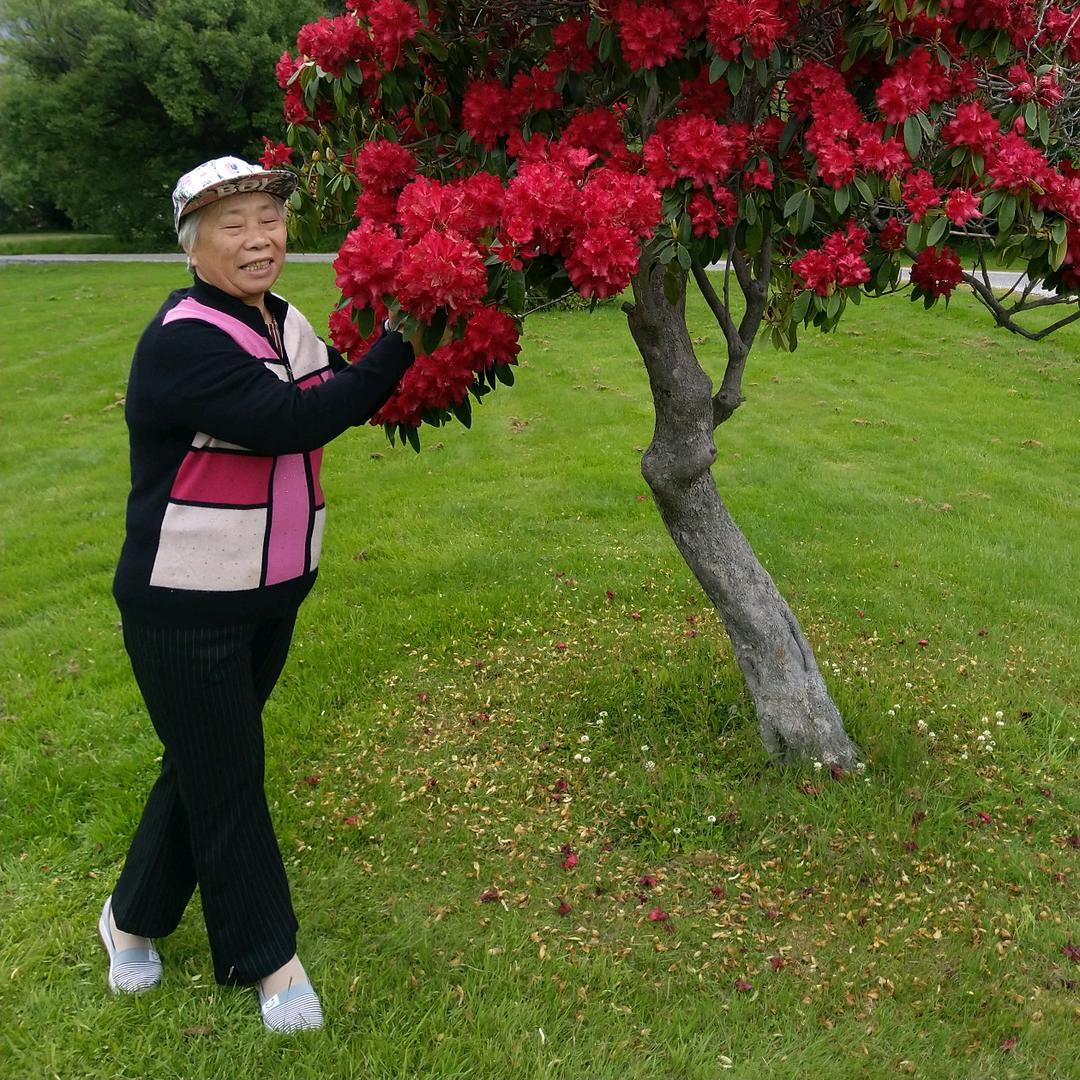 黄百花