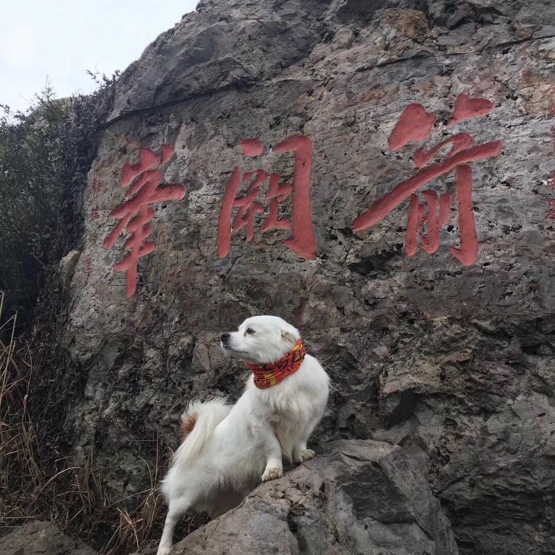 呶哒奈