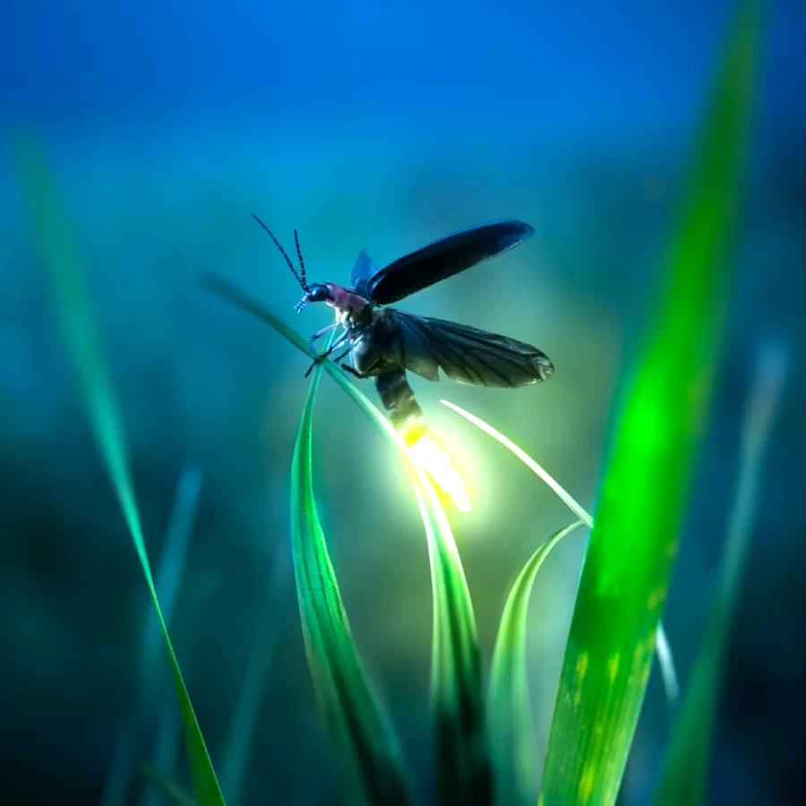 🌈,Food. | 火锅进行时¨̮