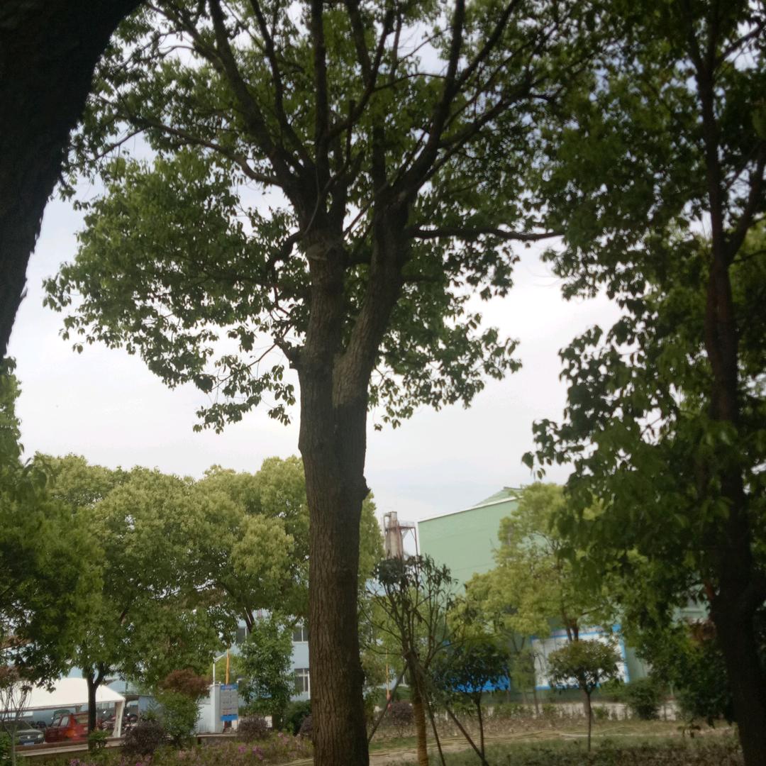 一生难忘