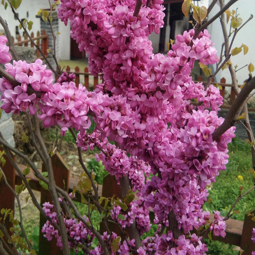 只想一身跟你走