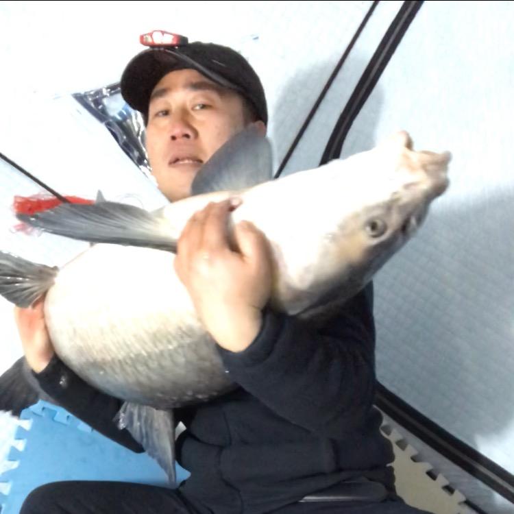 浪人智锅（不爱钓鱼了）
