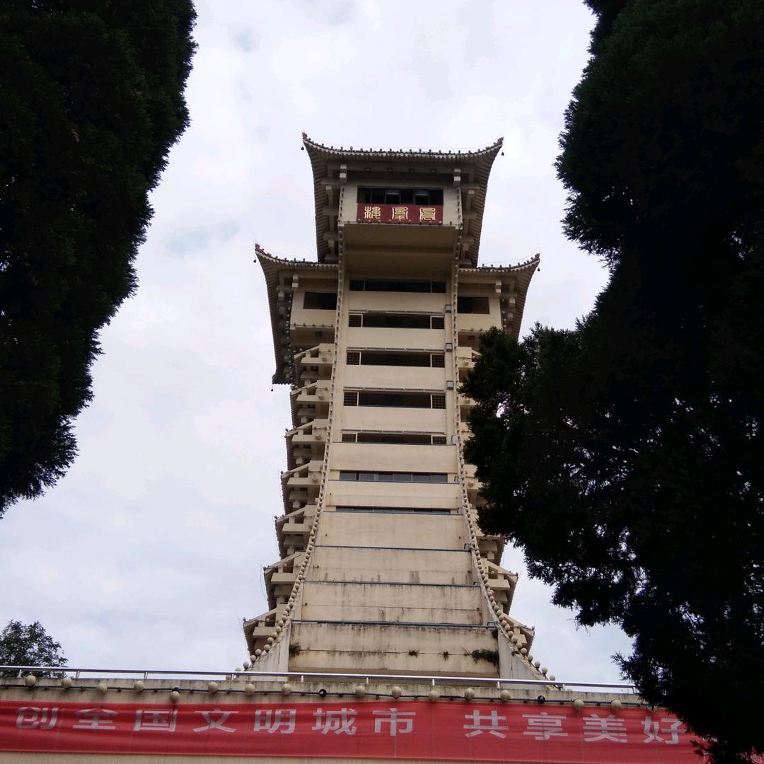 雾里看花