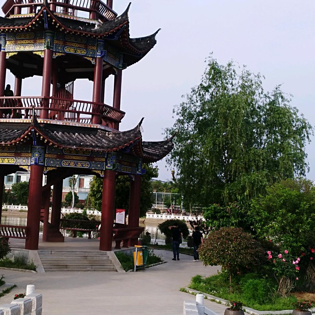 辛劳伴我 何苦自痴情@