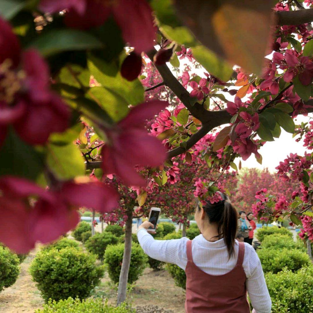 临沂兰山爱上美甲美睫