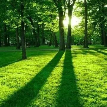 今夕何夕