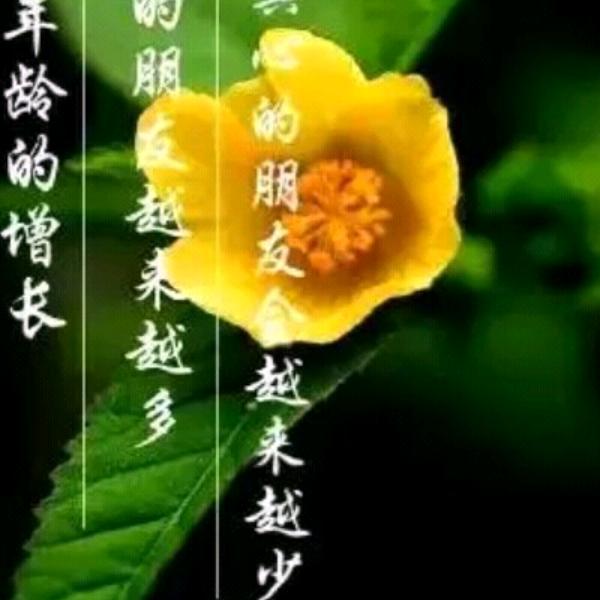 用户春暖花开