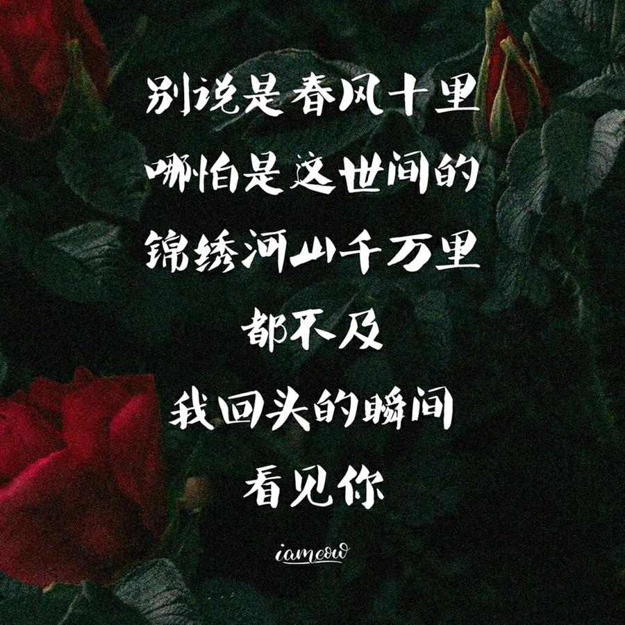 🌈走丢了687🐰