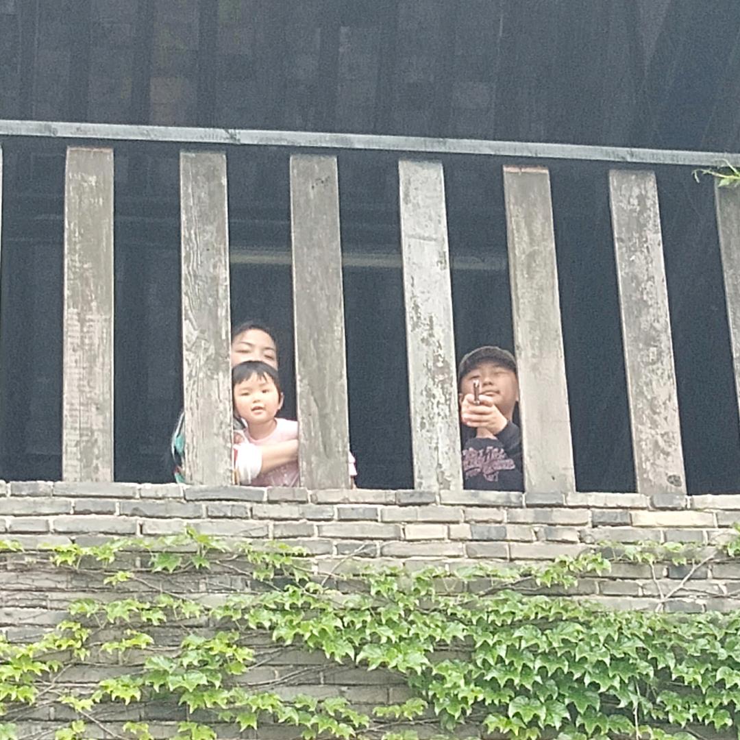 两只小猪