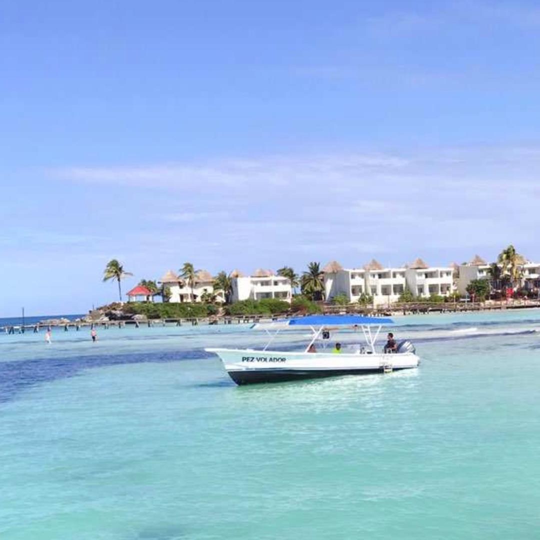 星空物语🎋🌷🎍