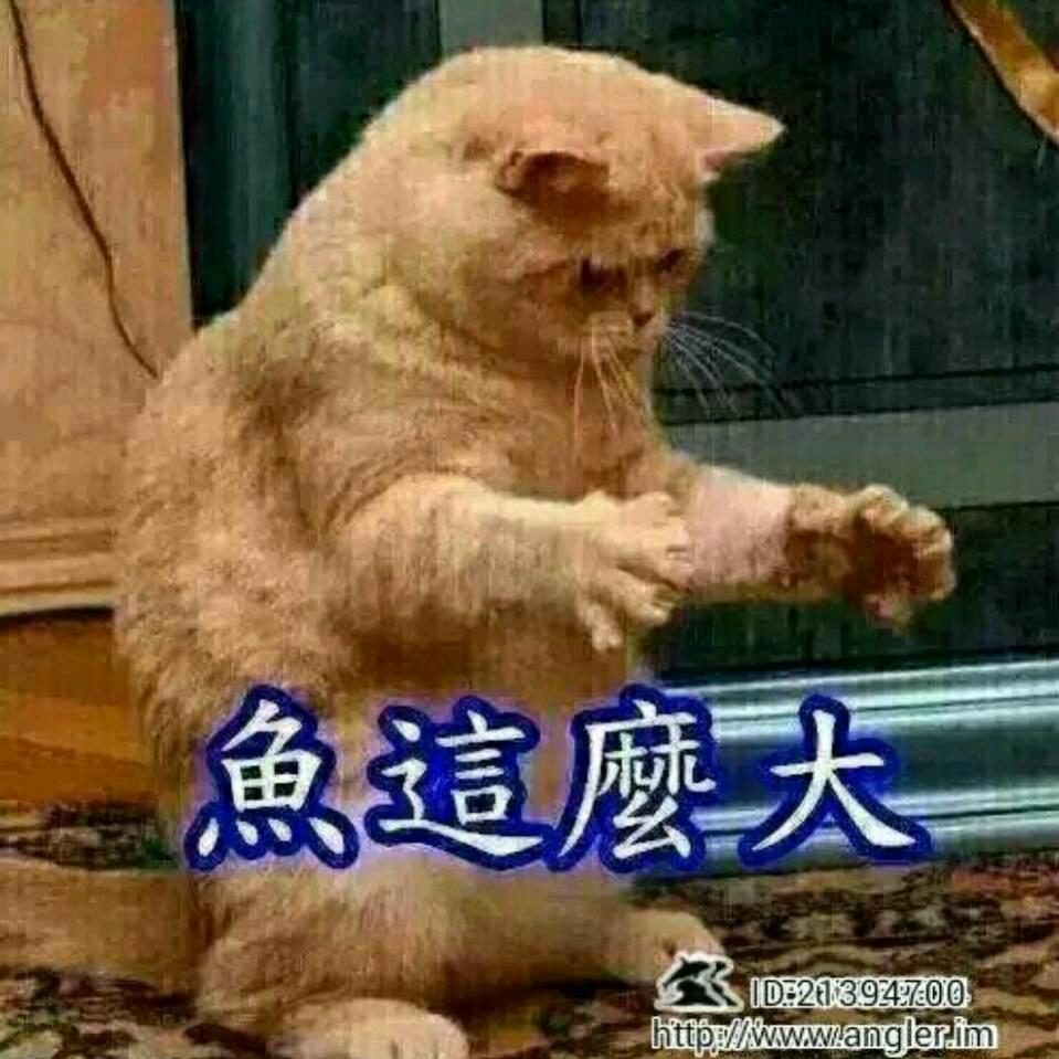 莆田小桔🚕充电⚡️站