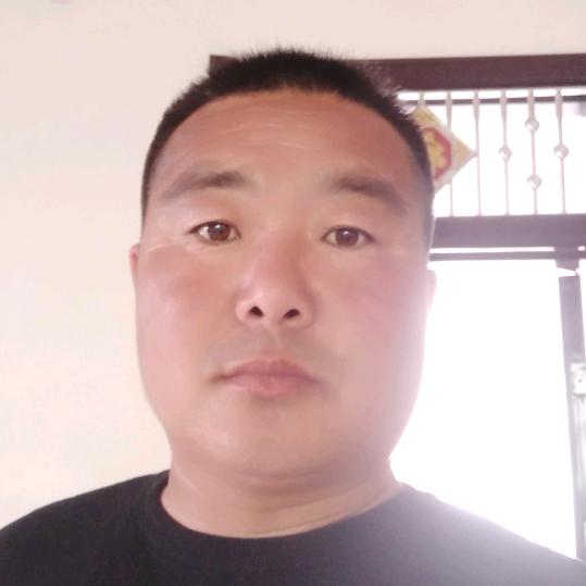 王伍强