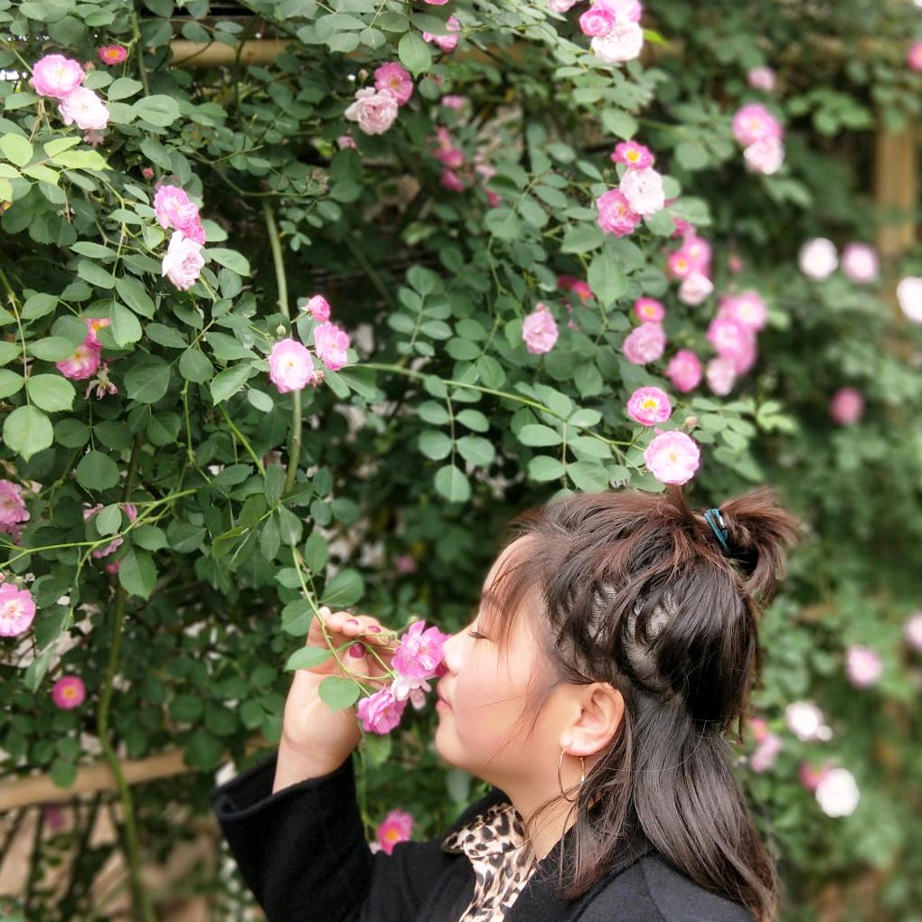 河南至湖北专线0918