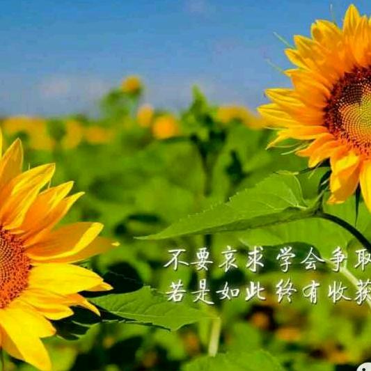 奔驰