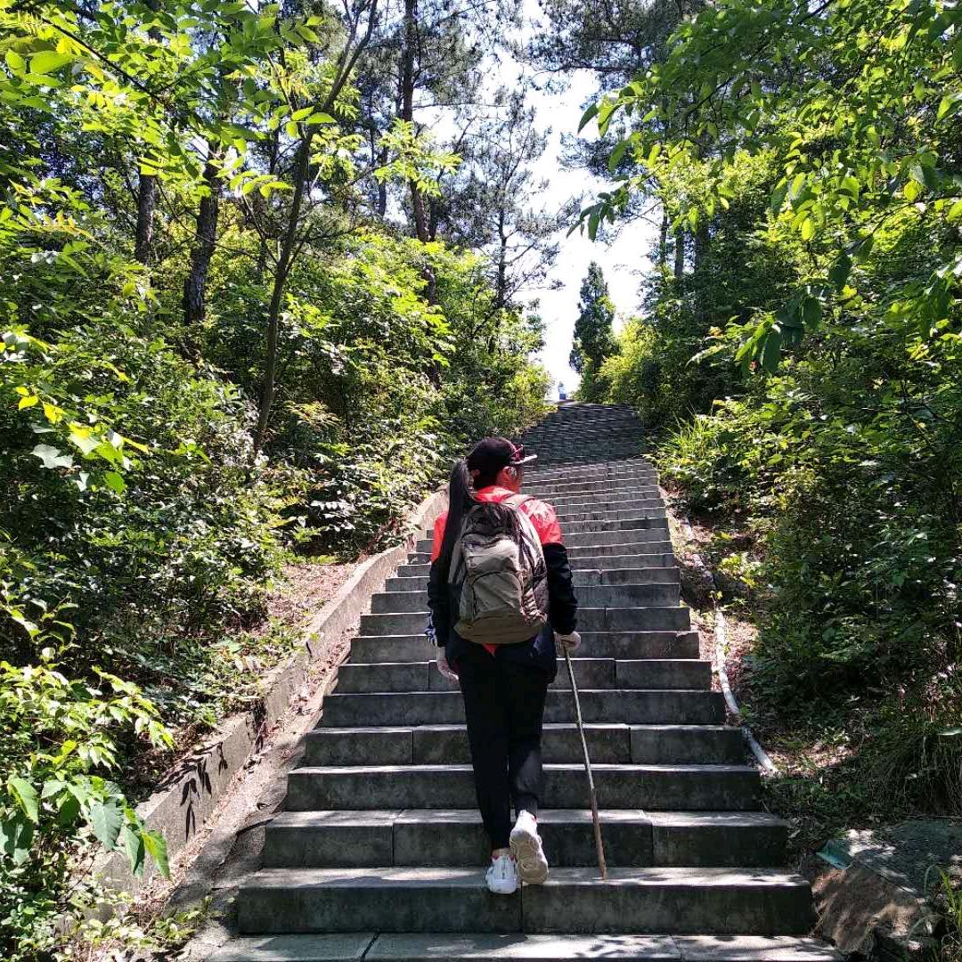 樊凡