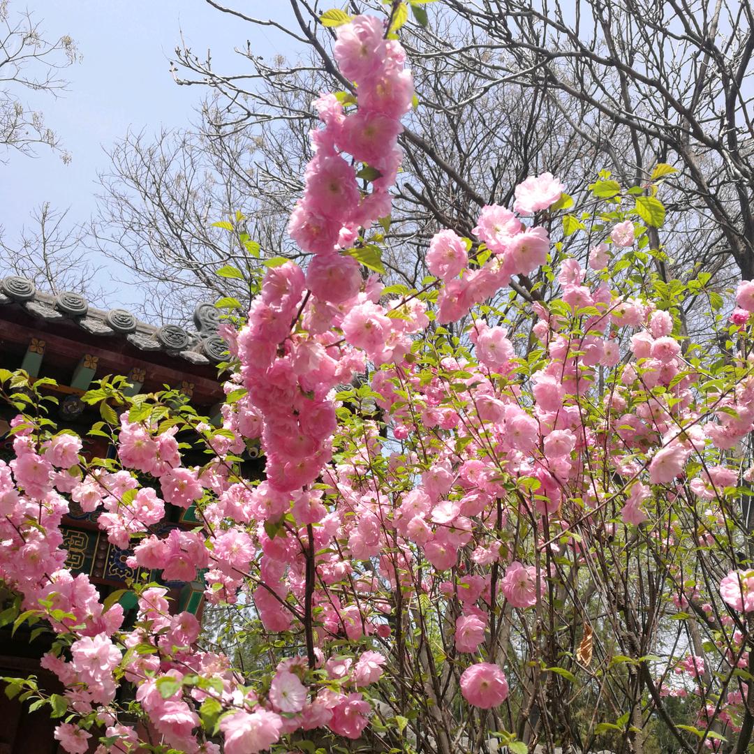 多喝烫水(ಡωಡ) 少抽烟