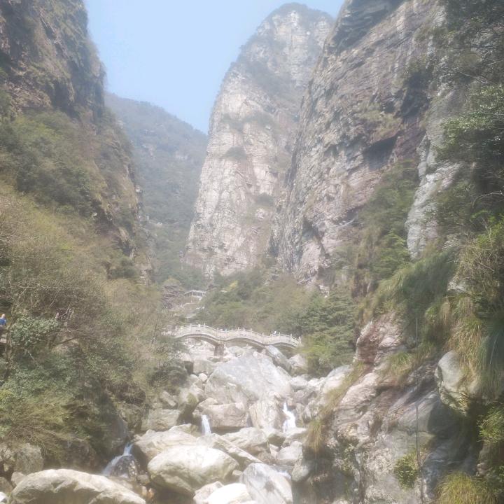 张鹤