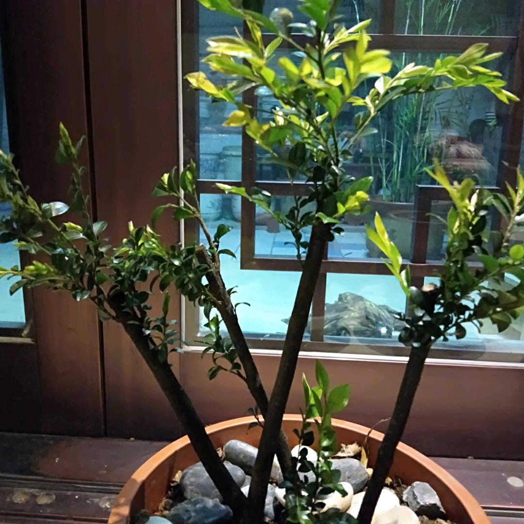 走吧，去结