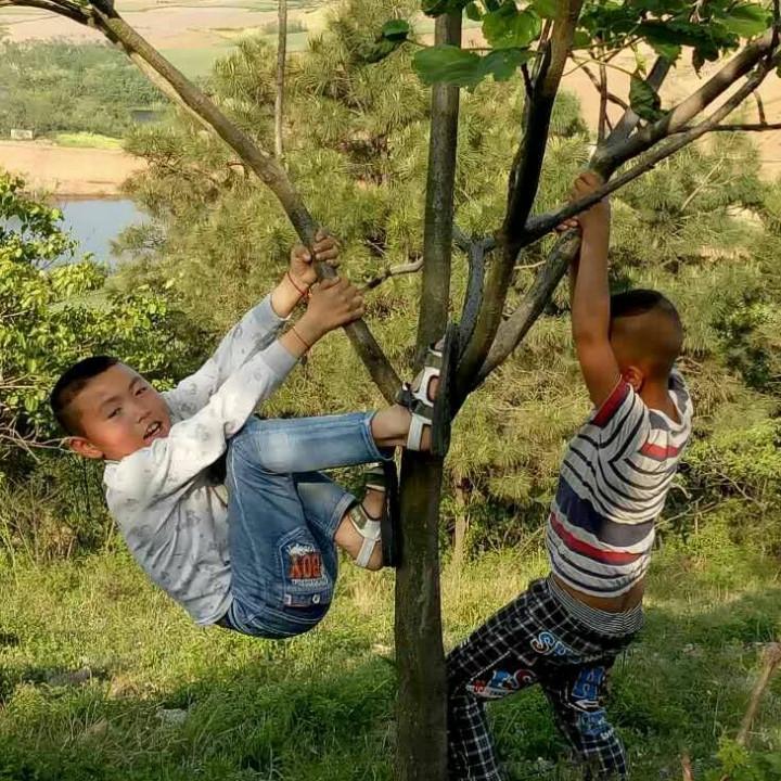 一生承诺w