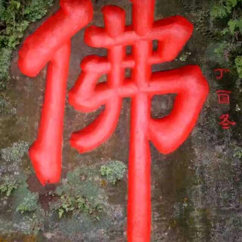 我心飞翔