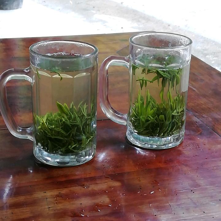 芦山县文燕家庭农场