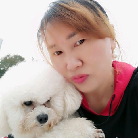 🍀🍀杨子🍀🍀