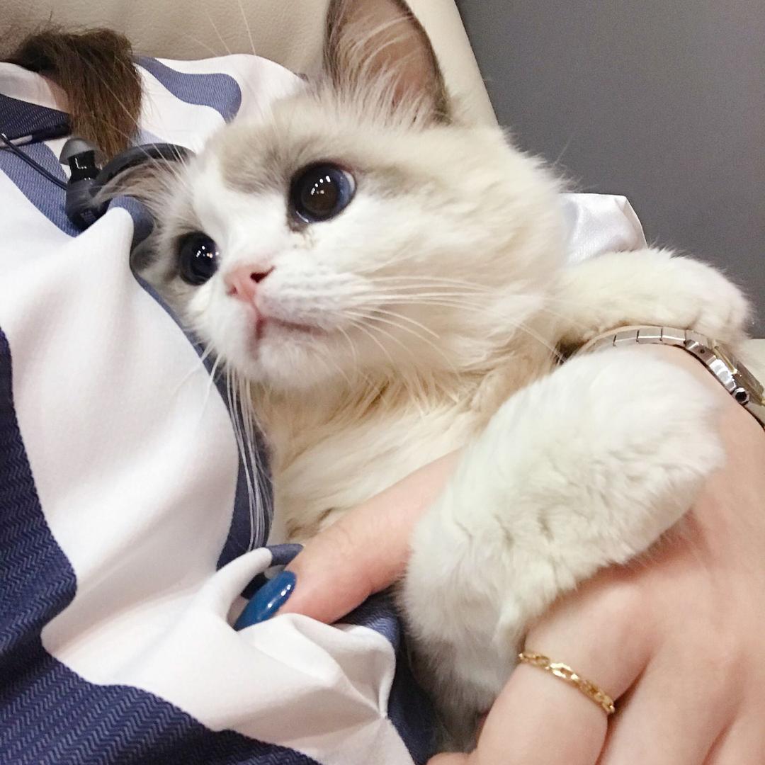 猪猪小宝🐷