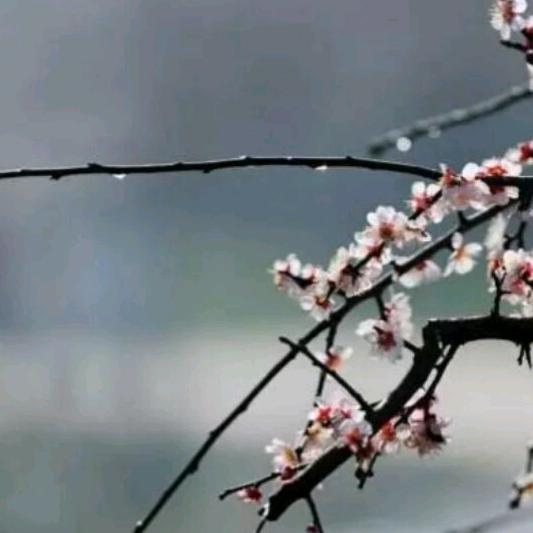 衣服  修  织  补