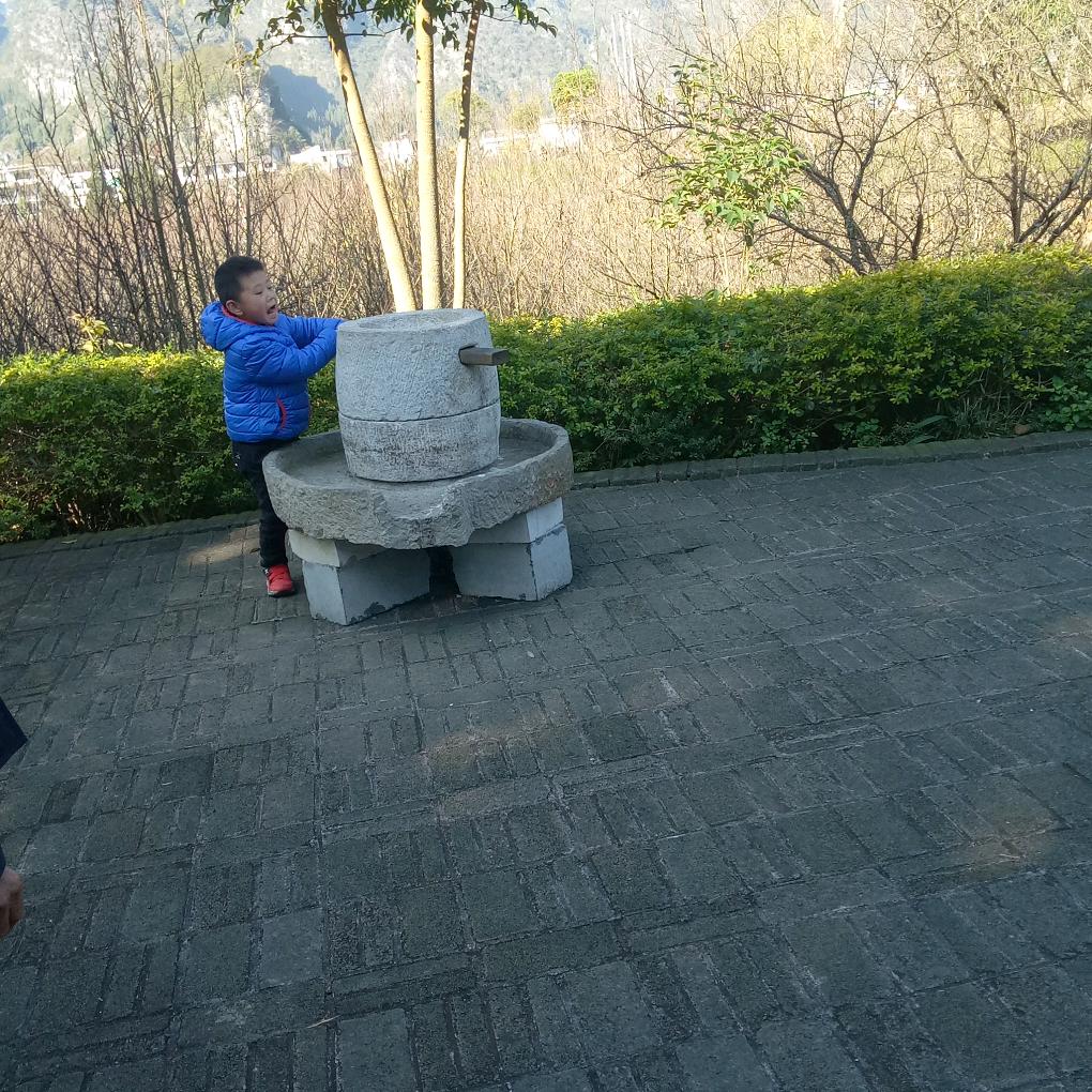 涛涛